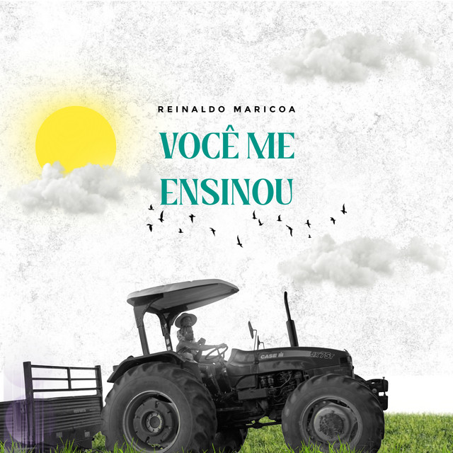 Reinaldo Maricoa - Você Me Ensinou