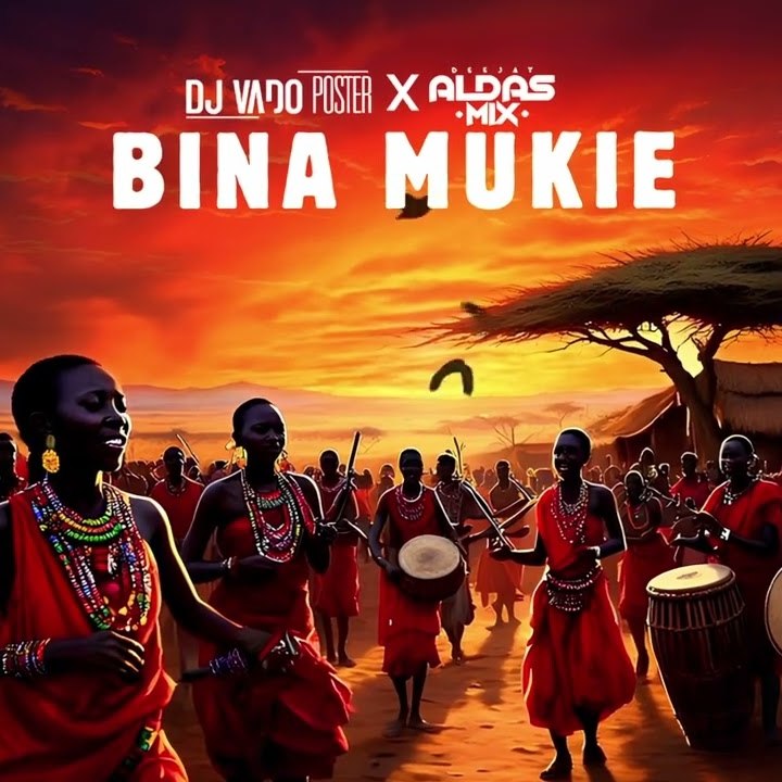 Dj Vado Poster & Dj Aldas Mix - Bina Mukie