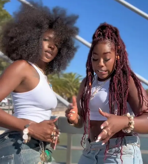 Soraia Ramos ft. Zara Williams – Gata Baddie Bala